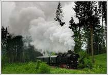 Am Pfingstwochenende 2009 wurde 78 618 der �GEG (�sterr. Gesellschaft f�r Eisenbahngeschichte) nach einer Hauptuntersuchung wieder der �ffentlichkeit pr�sentiert. In den Morgenstunden des 1.6.2009 bespannte sie einen Fotopersonenzug mit zahlreichen Fotohalten zwischen Timelkam und Ampfelwang. Diese Maschine, welche 1938 von der Wiener Lokomotivfabrik Floirdsdorf unter der Fabriksnummer WLF 3152 gebaut wurde, war bis 1972 im aktiven Einsatz und diente danach bei den �BB als Vorheizanlage Vz.01085. 1976 wurde sie vom noch sehr jungen Verein �GEG, welcher das Ziel hatte, eine Lok der BR 78.6 zu erhalten, zum Schrottpreis von den �BB erworben. Die 78 618 war �berhaupt die erste von einem privaten Verein erworbene Normalspurdampflokomotive in �sterreich. 2002 endete die Kesselfrist der 78.618 und die Lok musste abgestellt werden. Nach umfangreicher Hauptausbesserung der Lok im rum�nischen Ausbesserungswerk Cluj ist sie, wie bereits erw�hnt, seit dem Pfingswochenende 2009 wieder f�r die �GEG im Einsatz.