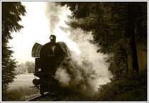 Impression der Fotofahrt mit 78.618 auf der eigenen �GEG Strecke zwischen Timelkam und Ampflwang vom 1.6.2009.
