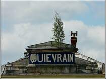 Dachbegr�nung. 22.05.09 (Jeanny)