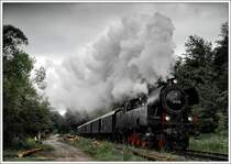 Anl�sslich der Pfingstdampftage in Ampflwang gab es an den drei Pfingsttagen einige Fotofahrten u.a. am 1.6.2009 eine Fotofahrt mit 78.618 auf der eigenen �GEG Strecke zwischen Timelkam und Ampflwang. Die Aufnahme entstand bei einem S�gewerk kurz nach Timelkam.