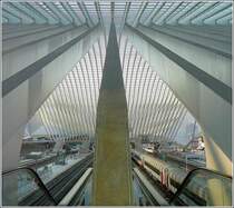 Aus dieser Sicht wird man sich der Gr��e der Bahnhofshalle in Li�ge Guillemins erst richtig bewusst. 01.05.09 (Jeanny) 