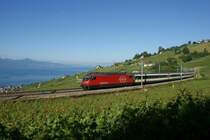 Am 13. Juni 2009 ist in der Lavaux, hoch �ber dem Genfer See ein IR mit Re 460 in Richtung Freiburg unterwegs. Der Zug hat soeben Grandvaux passiert und den Tunnel du Grandvaux durchfahren und strebt nun Puidoux-Chexbres entgegen.
