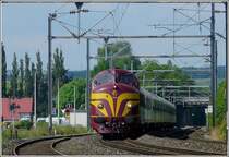 Die 1604 mit ihrem Sonderzug am Haken  dieselt  am 23.06.09 �ber den dreigleisigen Streckenabschnitt kurz vor Schieren in Richtung Luxemburg. (Jeanny)