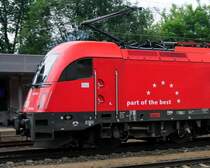 Charakterschnauze als Teil der Besten: Die zweite aller 1216 anders gesehen... (Brixlegg, 20.06.2009).