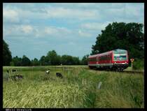 628 550 auf der Heidebahn bei Plumhof