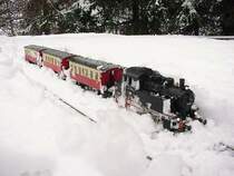 Personenzug mit 080 (M�rklin Spur1) im Schnee-Chaos!  