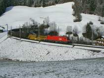 Taurus am 08.04.2008 bei Windau.