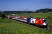 1116 003  bei K�stendorf  07.05.08