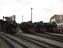 LOKPARADE mit neuer MOLLI-Dampflok BR 99 2324-4, BR 99 2323-6, BR 99 2322-8 und BR 99 2321-0, K�hlungsborn-West 10.07.2009
