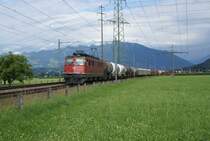 Ein Bild, das immer mehr zu einer Seltenheit zu werden droht: Ae 6/6 11455 mit einem G�terzug am 9.7.09 zwischen Sch�belbach und Siebnen.