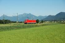 185 151 am 17.06.09 zwischen Prien und Bernau km 28,2