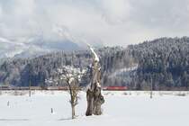 DB Railion 182 002-6,mit G�terzug bei Kirchbichl.19.02.2009