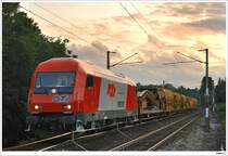 RTS 2016.907 bildete am 11.7.2009 gemeinsam mit WLB 9281 20000 90 diesen Bauzug und war auf der Baustelle zwischen Pm und Rw eingesetzt.