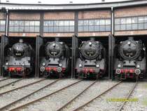 Museumssommernacht in Dresden,
www.igbwdresdenaltstadt.de