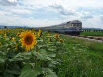 Der  Blaue Blitz  war dieses Wochenende auf der Strecke zwischen Korneuburg und Ernstbrunn unterwegs. Zusehen ist der 5145.14 + 7645.02 + Restaurant-Waggon + 7645.06 + 5145.01 hier zwischen Stetten und Harmannsdorf-R�ckersdorf am 12.07.09 Richtung Ernstbrunn.