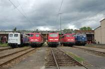 Frontalaufnahme auf alle an der Lokparade des 25. Juli 2009 teilnehmenden Lokomotiven. Von links nach rechts sieht man: 139 312-3 von Lokomotion, sie war als Gastlok anwesend. Links neben ihr ist 110 484-3 des BW Stuttgart zu sehen. Daneben reiht sich 111 082-4, ebenfalls vom BW Stuttgart in die Parade ein. Ihr folgt die Stuttgarter 110 418-1. Neben ihr steht die blaue 110 228-4 des DB Museums N�rnberg, welche aber schon lange in Stuttgart steht. Das Gel�nde des BWs war zum Zeitpunkt der Veranstaltung in bestimmten Bereichen �ffentlich zug�nglich.