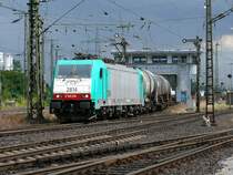 Cobra-Lok 2814 verlsst hier Kln-Gremberg mit einem Kesselwagenzug in Richtung Belgien. Im Nachhinein kann ich sagen, dass die dunklen Wolken im Hintergrund dem Bild etwas Besonderes geben, als der Regen dann aber loslegte, war ich froh, dass ich mit einem Schirm bewaffnet war. Aufgenommen am 25/07/2009. 