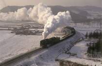 QJ 1981  bei Nancha  30.12.92