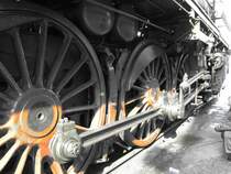 aufgenommen im M�rz 2009 in Dresden