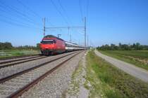 Die Re 460 095-3  Bachtel  zieht ihren IR 2136 in Richtung Biel, kurz vor T�gerwilen Dorf, 29.07.09.