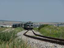 Der heutige Sonderzug auf der Landesbahn zwischen Korneuburg war die gr�ne 2143 040-0. (zwischen Stetten und Harmannsdorf, 01.08.09)