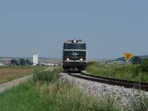 Der heutige Sonderzug auf der Landesbahn zwischen Korneuburg war die gr�ne 2143 040-0. (zwischen Stetten und Harmannsdorf, 01.08.09)