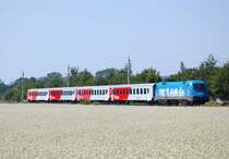 Rex 3422 geschoben von der 1016 023 f�hrt am
01.08.2009 an einem Blumenfeld an der Marchtrenker
Schleife zwischen Traun und Marchtrenk vorbei.