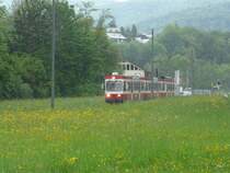 WB - Regio nach Liestal mit Bt 4/4 114 und Bt 111 und BDe 4/4 14 am 11.05.2009