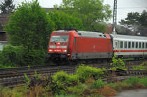 ...  Schn�rl  am Pantograph.. (an der Bergstrasse im Mai 2009).