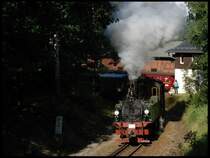 IVK 145 in Bertsdorf am 01.08.2009