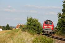 218 485 mit Re 352  Jan Hus  am 05.08.2009 bei G�rmersdorf. Im Hintergrund das Wasserschloss Moos.