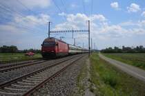 Am 13.08.09 hat die Re 460 001-1  L�tschberg  mit ihrem IC 2124 Kreuzlingen verlassen, und f�hrt ihre Reise in Richtung Biel, in T�gerwilen fort.