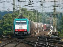 Cobra-Lok 2831 mit einem gemischten G�terzug am Haken n�hert sich durch ein Spalier von Masten und Dr�hten dem Aachener Hbf. Ich stehe hier nicht auf oder zwischen den Gleisen, sondern auf einem Bahnsteig im Hbf. Aufgenommen am 13/08/2009.