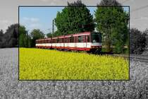 Zwei Rheinbahn-Triebwagen (vorn 4216) auf der Linie U79 kurz vor der (H) Froschenteich (24. April 2009)