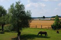 Ein IC durchs Leinetal bei Burgstemmen. 04.08.09
