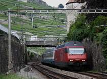 Die Re 460 042 am 29.06.2009 mit einem EC bei der Durchfahrt in Rivaz. 
