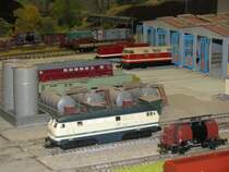 Szene von der Modellbahn-Anlage des Karow-L�bzer-Modellbahnclub e.V. (www.modellbahnclub-karow.de), Plau am See 08.08.2009 