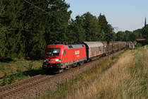 Aufgrund von Bauarbeiten ist zwischen Osterm�nchen und Grafing nur ein Gleis befahrbar. Deswegen werden einige G�terz�ge zwischen Rosenheim und M�nchen �ber die Mangfallbahn umgeleitet. Auf dieser fahren normalerweise leider nur Quitschies. Hier 182 022 mit einem G�terzug am 20.08.2009 bei F�ching (bei Holzkirchen).