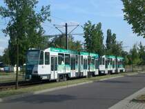 Potsdam: Stra�enbahnlinie 96 nach Kirchsteigfeld Marie-Juchacz-Stra�e an der Haltestelle Bornstedter Feld Viereckremise. 