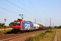 482 029 war am morgen des 20.08.09 bei Wiesental gen S�den unterwegs. 