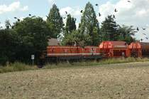 WLE 30 schreckt einen Schwarm V�gel auf