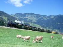 RhB Dampfextrazug f�r GRAUB�NDEN TOURS 3031 vom 20.06.1999 von Landquart nach Davos-Platz zwischen Jenaz und Fideris mit Dampflok G 4/5 107 - B 2245 - B 2246 - A� 1102 - C� 2012 - D� 4052II - B� 2060 - B� 2102 - B� 2092. Hinweis: hier gen�gt noch die Dampflok allein f�r die lange Kompo, ab K�blis wird aus Lastgr�nden Vorspann ben�tigt. Am Zugende laufen zwei in einer Dampfzugkompo selten gesehene gelbe offene Bernina-Aussichtswagen mit! 