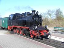 Eine wundersch�ne 99 f�hrt gerade nach Putbus LB (R�gen) mit dem Rasenden Roland ein (19.4.2009).