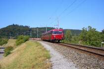 Die Schienenbus-Garnitur kurz vor Koblenz zum Jubil�um der Strecke Waldshut - Koblenz - Turgi am 23.08.09.