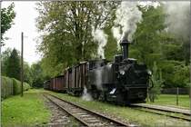 Dampflok 298.102 (Bj 1888 �lteste betriebsf�hige Schmalspurdampflok �sterreichs) f�hrt anl�sslich des Jubil�ums 120 Jahre Steyrtalbahn von Steyr nach Gr�nburg. Pergern 06.09.2009