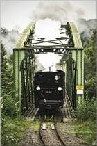 Dampflok 298.102 (Bj 1888 �lteste betriebsf�hige Schmalspurdampflok �sterreichs) f�hrt anl�sslich des Jubil�ums 120 Jahre Steyrtalbahn von  Gr�nburg nach Steyr. Gr�nburg Steyrbr�cke 06.09.2009
