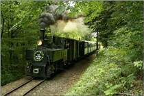 Dampflok Nr.6  Klaus  f�hrt anl�sslich des Jubil�ums 120 Jahre Steyrtalbahn von Steyr nach Gr�nburg. 
Steyr 06.09.2009