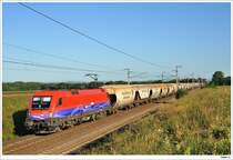1116.013 (MAV-Cargo) mit dem 44327. Gramatneusiedl, 30.8.2009.