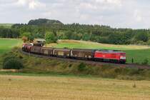 232 423 (RN 232 905) mit dem Umleiter FIR 51703 bei Grobau (22.08.2009)