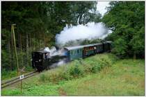 120 Jahre Steyrtalbahn: Der erste Zug am 6.9.2009 von Gr�nburg nach Steyr war mit 298.102 bespannt. Die Aufnahme entstand kurz vor Aschach a.D. Steyr.